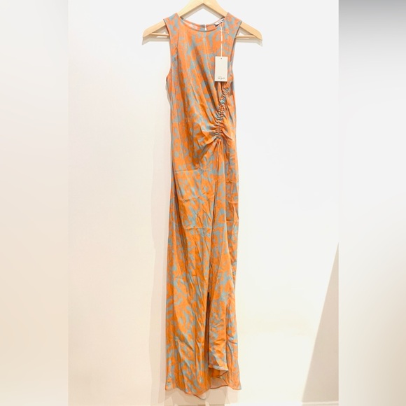 💎🐆BNWT🐆💎 Gabriella Rails Dress - Picture 5 of 8